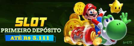 Controles de paJogonto e BRL em br675